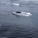 범고래PC 이미지