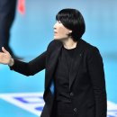 현대인삼 이미지