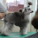 마이다스학원 이미지