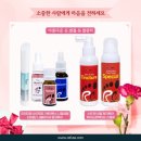 레푸스 앤 두두뷰티