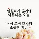 맹구가 될뻔~~ 이미지