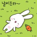 씨엔(CIEN) 이미지