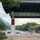 열여회식당 | 한여름 울산바위 등산 후기와 아바이회국수, 완도회식당 간단 리뷰까지