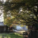 대율리 입구 주차장 이미지