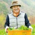 별누리농원 이미지