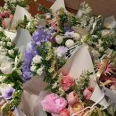 풀빛스튜디오