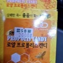 손톱이 초승달 같아 사랑해도 돼?