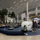 에이비씨커피 | 니가 가라 하와이 , 넵 !! 감사히 다녀오겠습니다