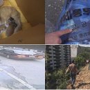 김재윤농장 이미지