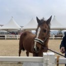 도윤목장 이미지