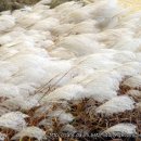 바람불어 좋은날 이미지