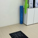 밸런스윈 운동센터 | 서현 재활 필라테스 밸런스업 필라테스 소도구 운동센터 후기