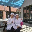 홍락원 Daum카페