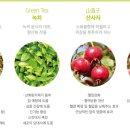 온성에너지 이미지