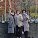 사단법인 대한불교교종 이미지