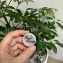 뤼에르뷰티 | 당산역 피부관리 '뤼에르스킨' :: 안면홍조 항산화수분관리 후기