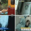 수배농장 이미지