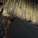 마리드엘 웨딩2 | [W1] 대전 웨딩홀 예약하기(마리드엘웨딩 계약O)/타웨딩홀 후기 有