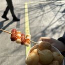 송호꼼지락게스트하우스 | 꽉 채운 해남 1박 2일 여행 1편 🌅