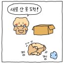 소더비 | 소더비 아니고 소비 후기..💸 | 최근 구매 후기