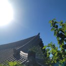 나눔터 당구장 이미지