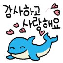아날로그클래식 이미지