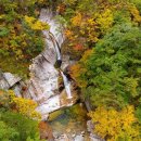 김시효의원 이미지