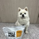 주식회사 데이원 | 강아지 사료 추천 '엉클홈 DTS 강아지사료 먹어본 후기'