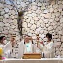 평화로06 이미지