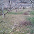 선아 농장 이미지