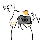 용암동사진관 이미지
