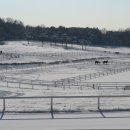 인성목장 이미지