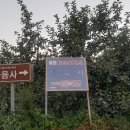 웅양주유소 이미지