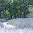 고석정 꽃밭에서 - by 박알미 이미지