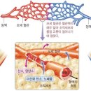 건강만세 이미지