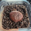 GS25 광복점 이미지