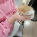 우창동로 이미지