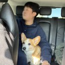 (주)서시장 | 전남 : 여수