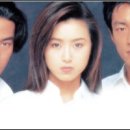 금화메디칼 네이버블로그
