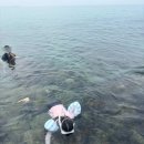 다이소강릉 | 다이소 튜브 암링튜브 실사용 후기