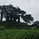 이교동일제군사시설 이미지