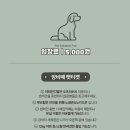 앙비떼 이미지