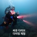 씨유다이브