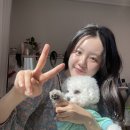 은광메디칼 | [부천]올가드림뷰티/상동피부관리샵/모공관리/순환마사지💆🏻
