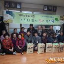 대진방역