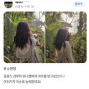 쌤언니디자인 이미지