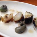 섬사랑펜션 이미지