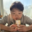 슈가맘 | 아이 아침 식사 고민 끝! 오트오브맘 바나나 하프슈가 솔직 후기