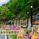 숲속다람쥐펜션 이미지