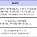 파크오토네트웍스